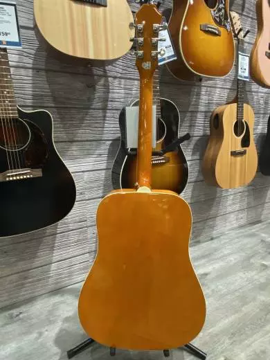 Epiphone - EEDVVBNH 2